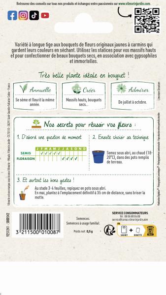 Fleurs - Statice Sinuata Variée - MEDIA_PACKAGING_VERSO